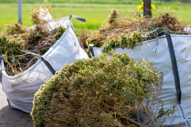 Professional Junk Removal in South Charleston, OH